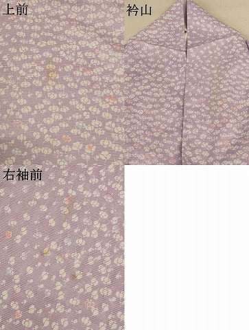 平和屋着物＊夏物 小紋 絽 花尽くし 洗える着物 AABE2624jd