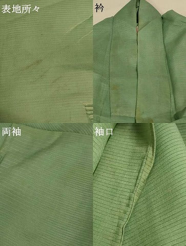 平和屋着物＊夏物　色留袖　絽　風景文　銀糸　正絹　逸品　AABE2636jd 平和屋着物＊夏物 色留袖 絽 風景文 銀糸 正絹 逸品 AABE2636jd