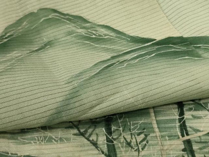 平和屋着物＊夏物 色留袖 絽 風景文 銀糸 正絹 逸品 AABE2636jd