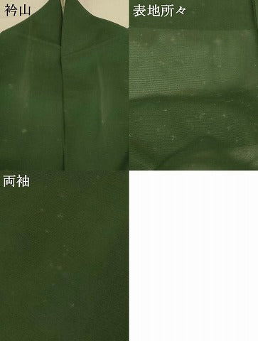 平和屋着物＊夏物 訪問着 絽 花鳥文 暈し染め 金彩 正絹 逸品