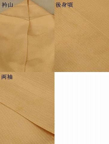 平和屋着物＊夏物 訪問着 絽 流水草花文 暈し染め 正絹 逸品 AABE2668jd