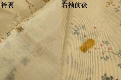 平和屋着物＊夏物 小紋 絽 枝花文 正絹 逸品 AABE2682jd