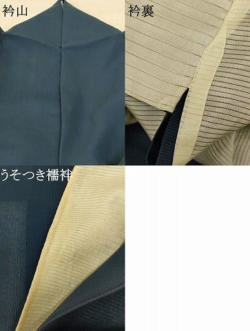 平和屋着物＊夏物 訪問着 絽 手描き 水玉 暈し染め 正絹 逸品 AABE2703jd