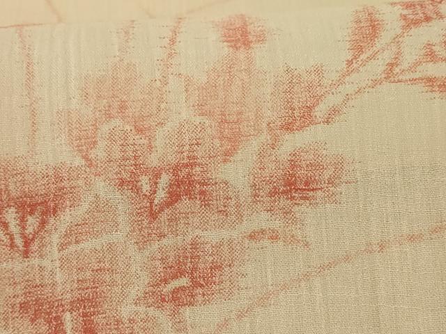 平和屋着物＊夏物 小紋 紗 草花文 正絹 逸品 AABE2707jd