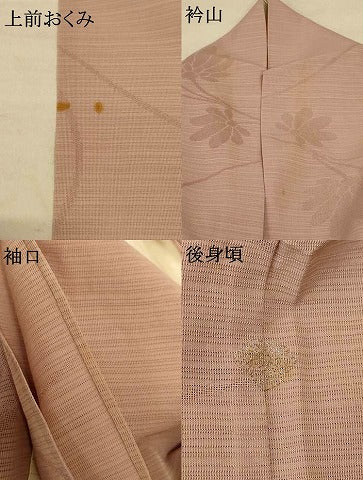 平和屋着物＊夏物 色無地 絽 花唐草 白茶色 正絹 逸品 AABE2716jd