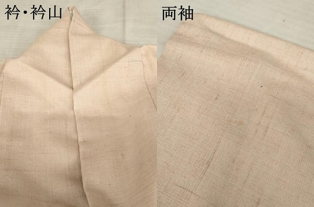 平和屋着物●訪問着　紬地　手描き　枝花文　正絹　逸品　AABE2805cs