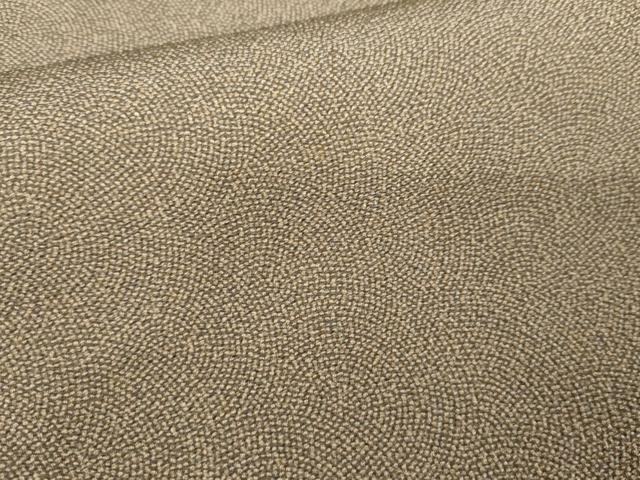 平和屋着物●江戸小紋　鮫小紋柄　鬼しぼ縮緬　正絹　逸品　AABE2821cs