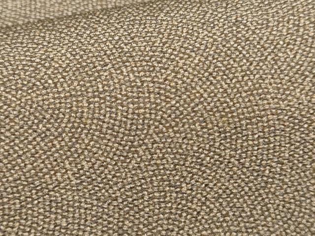 平和屋着物●江戸小紋　鮫小紋柄　鬼しぼ縮緬　正絹　逸品　AABE2821cs