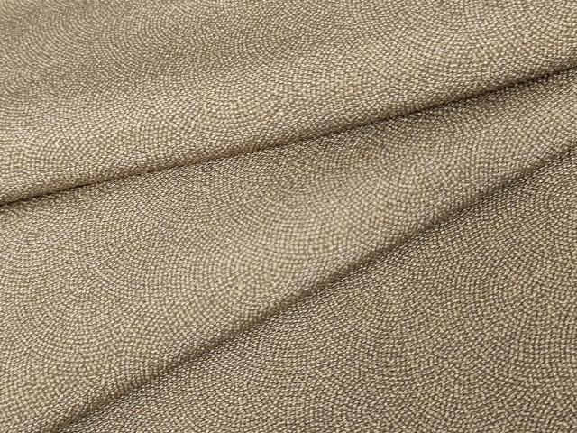平和屋着物●江戸小紋　鮫小紋柄　鬼しぼ縮緬　正絹　逸品　AABE2821cs