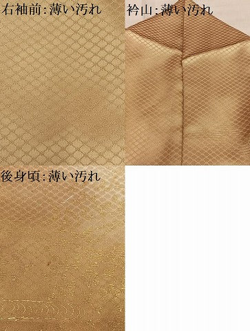 平和屋着物■訪問着　扇面枝花文　暈し染め　金銀彩　正絹　逸品　AABE3303oa