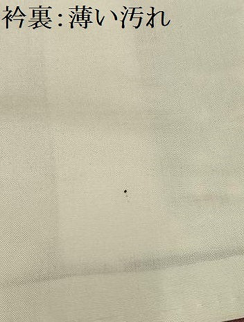 平和屋着物■上質な小紋　枝葉文　お召縮緬　正絹　逸品　AABE3317oa