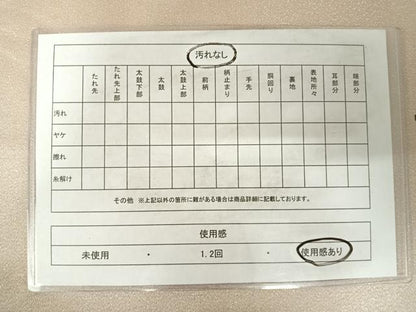 平和屋着物◎綴れ 六通柄袋帯 京の雅び 金銀糸 正絹 逸品 AABE3527yx