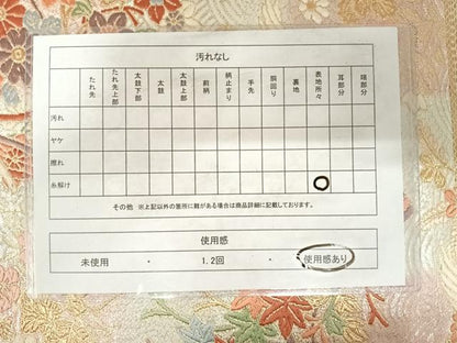 平和屋着物◎佐賀錦 六通柄袋帯 唐織 飛鳥飾花文 金銀糸 正絹 逸品 AABE3572yx