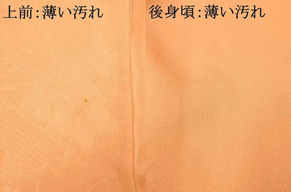 平和屋着物■色留訪問着　人物風景地紋　正絹　逸品　AABE3747fw