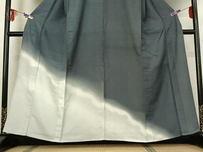 平和屋着物▽訪問着 単衣 霞文 暈し染め 洗える着物 AABE4019jh