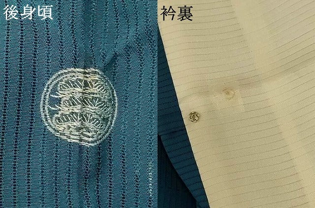 平和屋着物＊夏物 色留袖 縦絽 中国三大刺繍 スワトウ刺繍 汕頭刺繍 松 正絹 逸品 AABE4335jd
