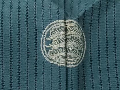 平和屋着物＊夏物 色留袖 縦絽 中国三大刺繍 スワトウ刺繍 汕頭刺繍 松 正絹 逸品 AABE4335jd