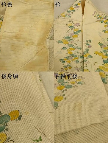 平和屋着物＊夏物 小紋 絽 草花文 正絹 逸品 AABE4348jd