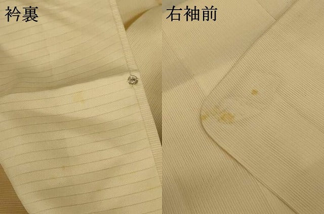平和屋着物＊夏物　訪問着　絽　花蝶文　暈し染め　銀彩　正絹　逸品　AABE4379jd 平和屋着物＊夏物 訪問着 絽 花蝶文 暈し染め 銀彩