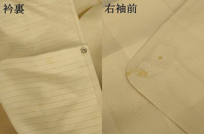 平和屋着物＊夏物 訪問着 絽 花蝶文 暈し染め 銀彩 正絹 逸品 AABE4379jd