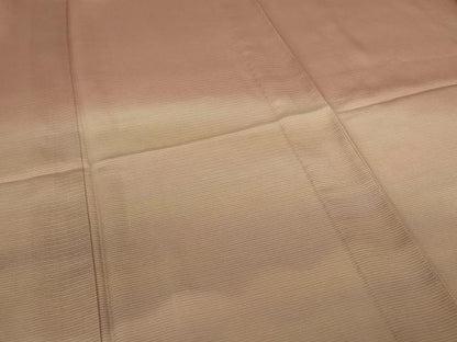 平和屋着物＊夏物 訪問着 絽 霞文 暈し染め 正絹 逸品 AABE4397jd
