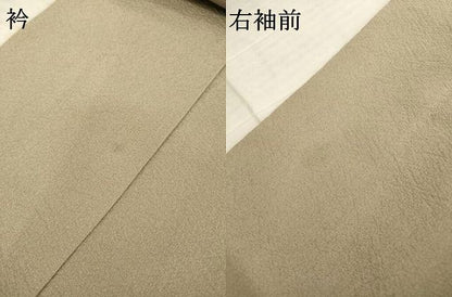 平和屋着物●訪問着　友禅　飛鶴風景文　正絹　逸品　AABE4462ck