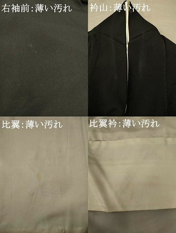 平和屋着物■豪華黒留袖　駒刺繍　吉祥絵巻文　金彩　正絹　逸品　AABE4515st