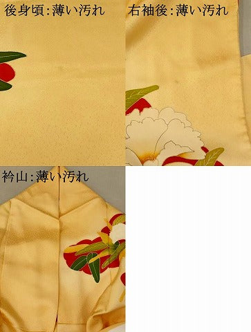 平和屋着物■訪問着 駒刺繍 草花文 暈し染め 金彩 正絹 逸品 AABE4554st
