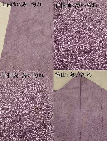 平和屋着物■江戸小紋　鮫小紋柄　正絹　逸品　AABE4571st