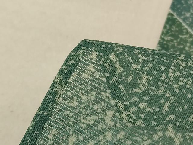 平和屋着物＊夏物 色留袖 絽 立波萩文 洗える着物 AABE4695jd