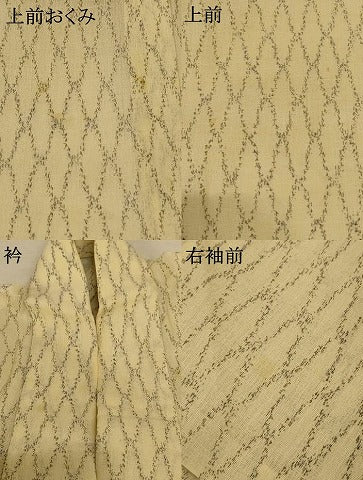 平和屋着物＊夏物 小紋 紗 網目文 AABE4715jd