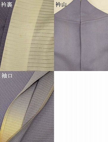 平和屋着物＊夏物 訪問着 絽縮緬 風景文 暈し染め ロング丈