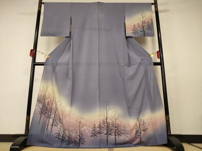 平和屋着物＊夏物 訪問着 絽縮緬 風景文 暈し染め ロング丈 正絹 逸品 AABE4716jd