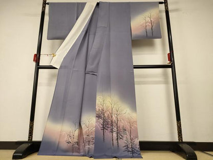 平和屋着物＊夏物 訪問着 絽縮緬 風景文 暈し染め ロング丈 正絹 逸品 AABE4716jd
