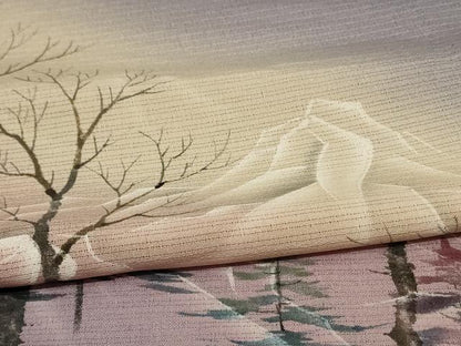 平和屋着物＊夏物 訪問着 絽縮緬 風景文 暈し染め ロング丈 正絹 逸品 AABE4716jd