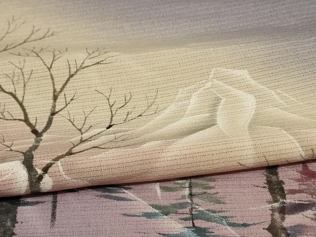 平和屋着物＊夏物 訪問着 絽縮緬 風景文 暈し染め ロング丈 正絹 逸品 AABE4716jd