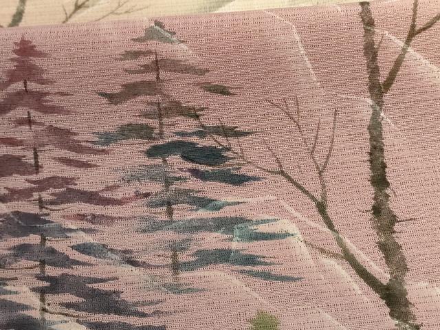 平和屋着物＊夏物 訪問着 絽縮緬 風景文 暈し染め ロング丈