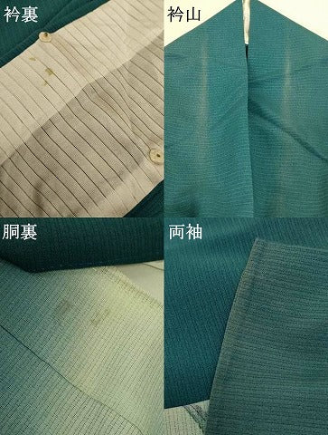 平和屋着物＊夏物 訪問着 絽 手描き 虫 暈し染め 正絹 逸品 AABE4720jd