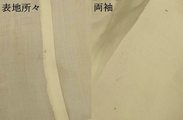 平和屋着物＊夏物　長襦袢　草葉紋紗　鳥の子色　AABE4721jd 平和屋着物＊夏物 長襦袢 草葉紋紗 鳥の子色 AABE4721jd