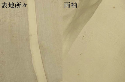平和屋着物＊夏物 長襦袢 草葉紋紗 鳥の子色 AABE4721jd