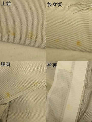 平和屋着物＊夏物 訪問着 絽 駒刺繍 草葉文 虫 暈し染め 銀彩 ロング丈 正絹 逸品 AABE4727jd