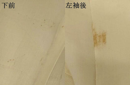 平和屋着物＊夏物 長襦袢 露芝紋紗 鳥の子色 AABE4728jd