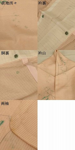 平和屋着物＊夏物 小紋 絽 手描き 草花文 洗える着物 AABE4736jd