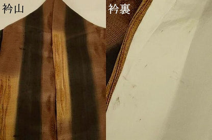 平和屋着物＊夏物 十日町 名門青柳謹製 櫛引織 赤城紬 間道 ほていや扱い 正絹 逸品 AABE4763jd