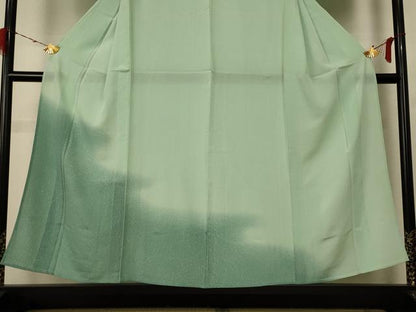 平和屋着物＊夏物 訪問着 絽 霞文 暈し染め 洗える着物 AABE4768jd
