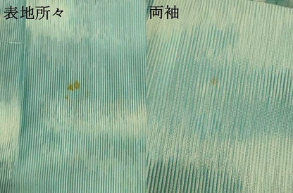 平和屋着物＊夏物 小紋 紗 流水舞葉文 正絹 逸品 AABE4788jd