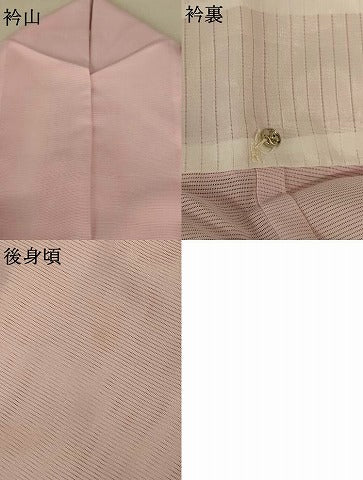 平和屋着物＊夏物 訪問着 絽 流水舞鶴文 洗える着物 AABE4797jd