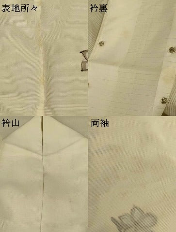 平和屋着物＊夏物　訪問着　絽　草花文　洗える着物　AABE4800jd 平和屋着物＊夏物 訪問着 絽 草花文 洗える着物 AABE4800jd