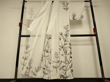 平和屋着物＊夏物 訪問着 絽 草花文 洗える着物 AABE4800jd