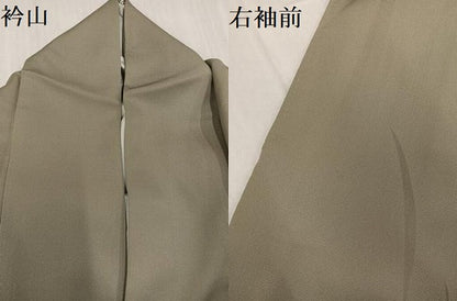 平和屋着物●訪問着　手描き　枝花文　暈し染め　正絹　逸品　AABE4842ph
